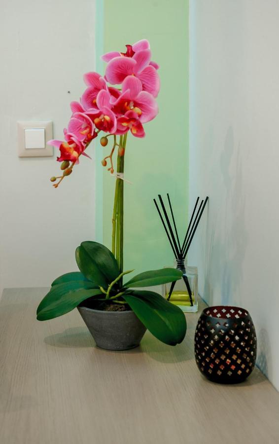 Appartement Dim House